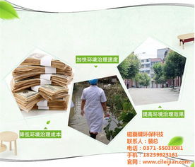 創新科技，清新環境 探索垃圾除臭的有效方法
