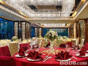 機票代訂與婚禮籌備的完美結(jié)合 如何高效整合資源與達人團隊